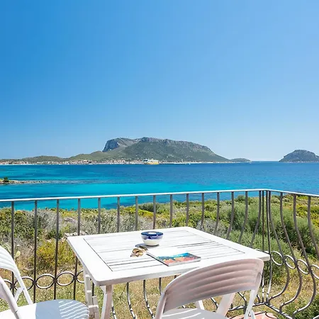 - Cala Delfino Lejlighed