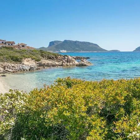 - Cala Delfino * 阿兰奇湾城