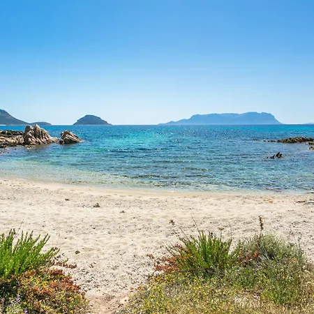 公寓 - Cala Delfino 阿兰奇湾城