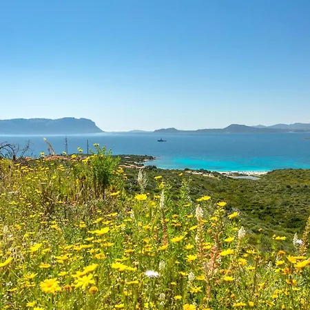 - Cala Delfino Golfo Aranci